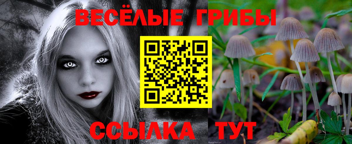 Псилоцибиновые грибы Magic Shrooms Мирный
